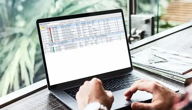 business-accounting-software digital-government